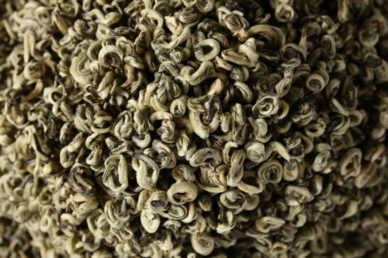 云南大叶种碧落春（单芽500克两盒）香气高