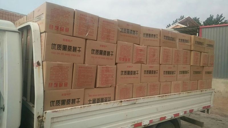 黄河古道黑珍珠桑葚桑葚干