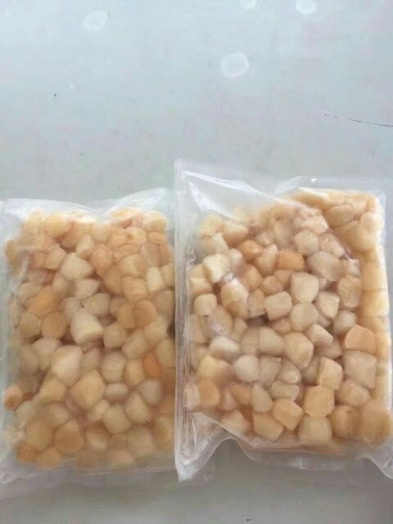 扇贝食用鲜活0.1~0.9只/kg