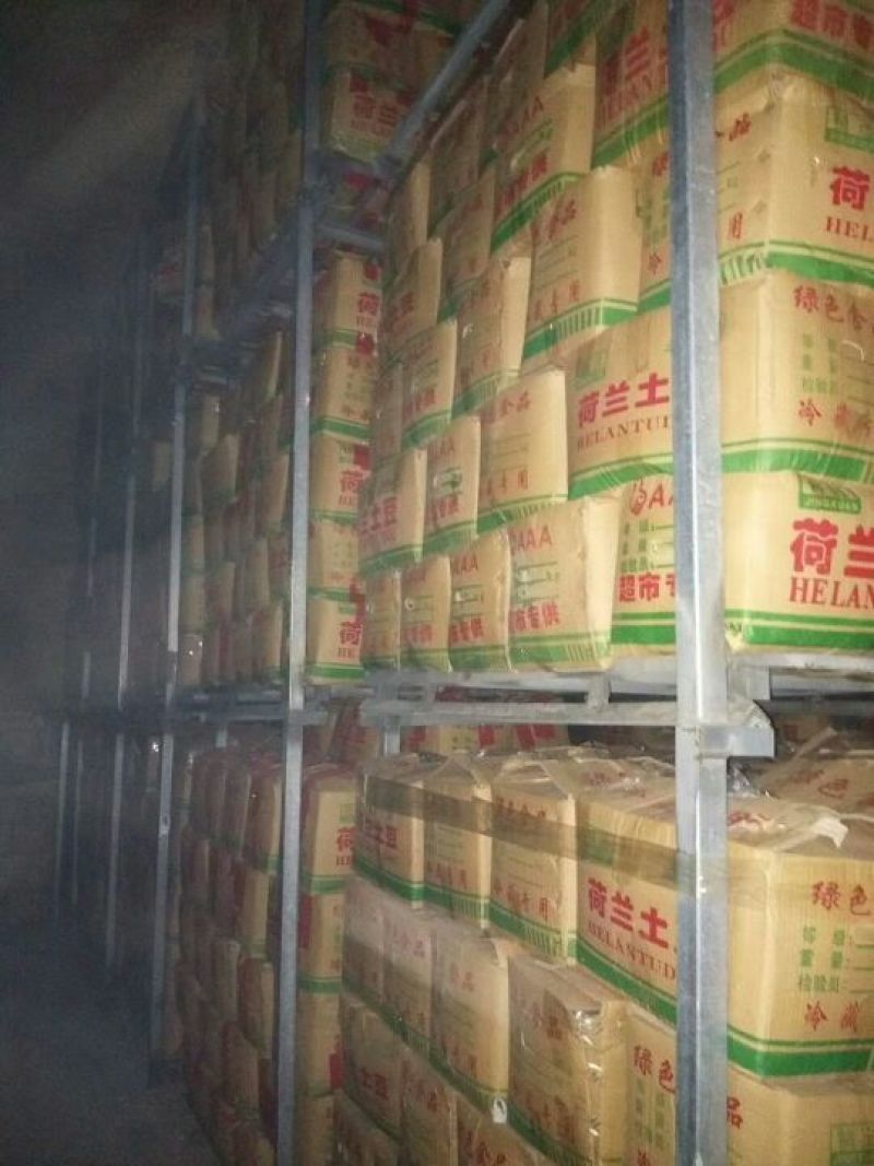 荷兰十五土豆箱装袋装3两以上土豆