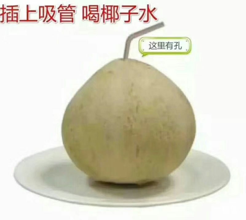 椰子:椰白