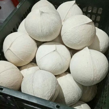 椰子:椰白