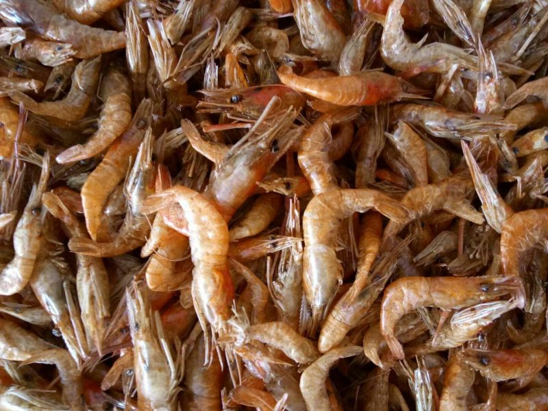 漓江干虾