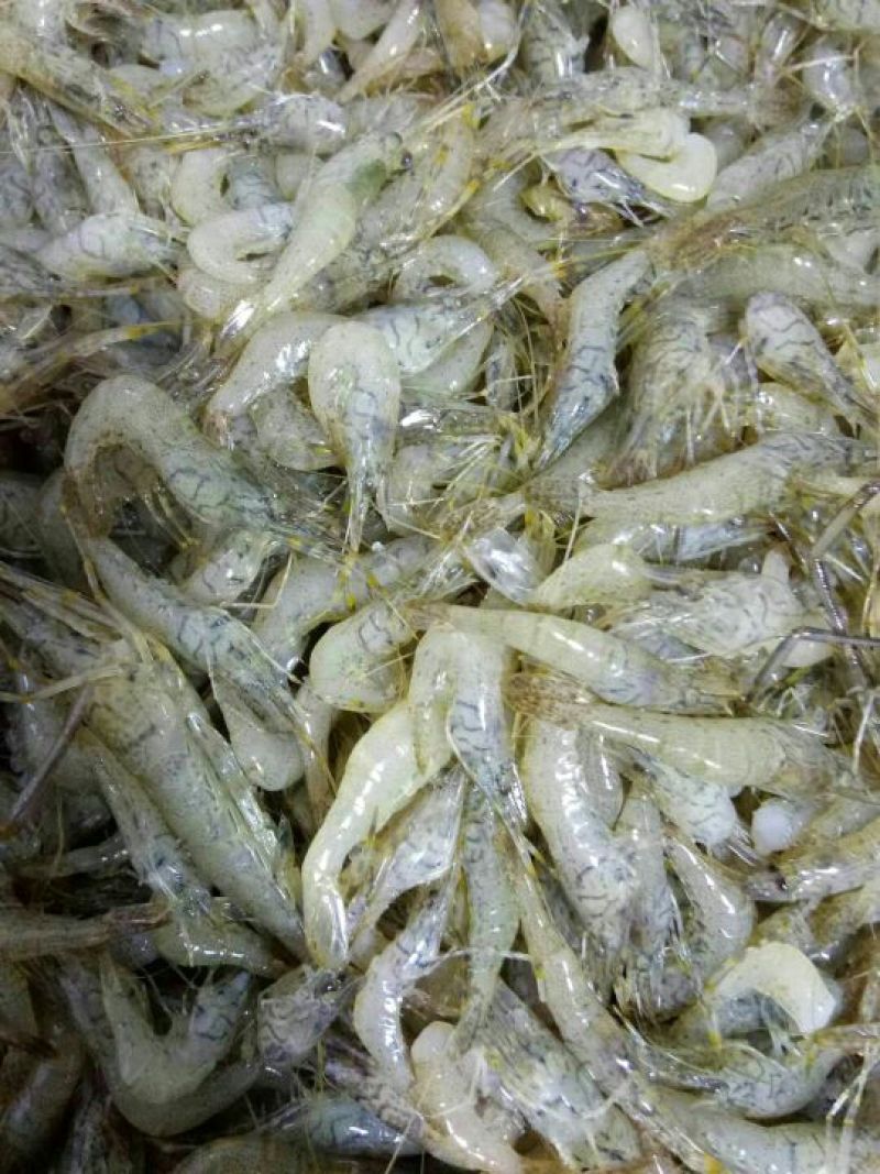 漓江干虾