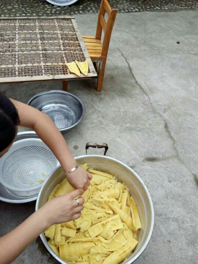 干笋