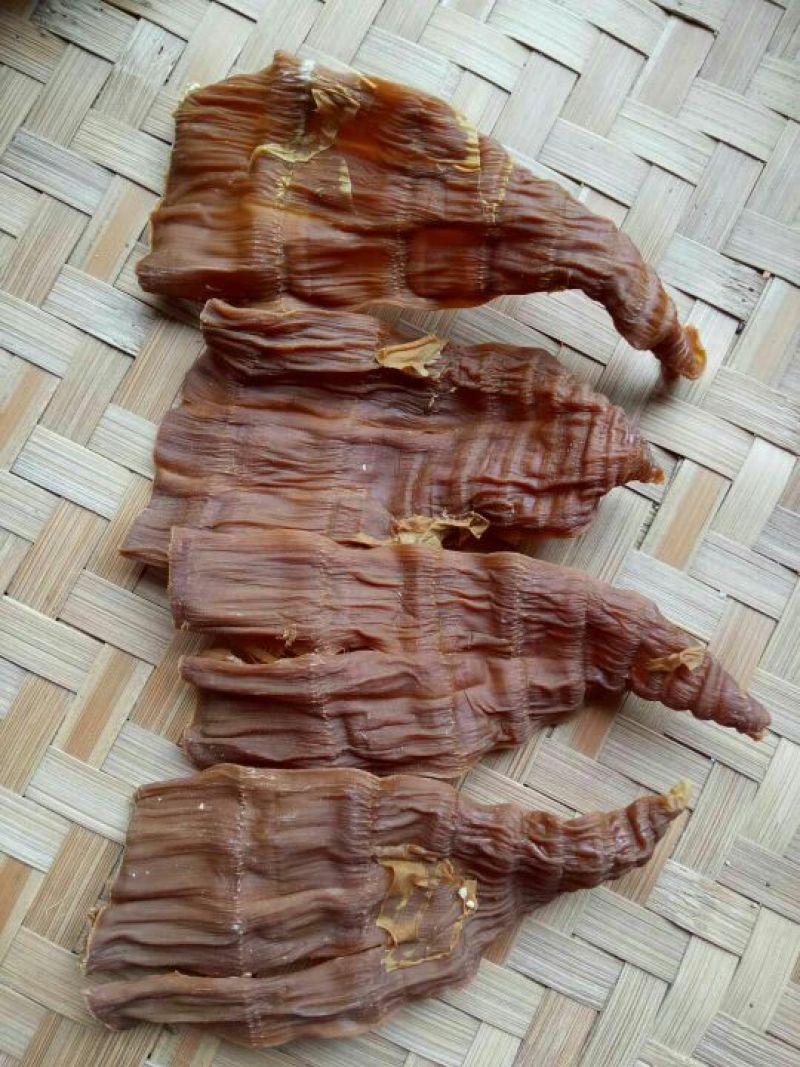 干笋
