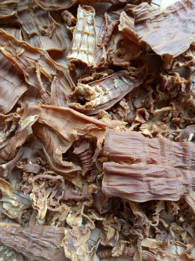 干笋