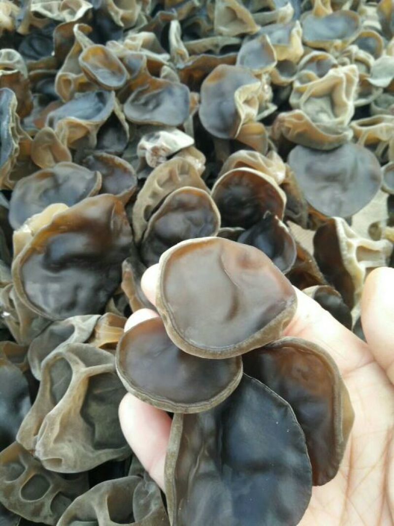 （正宗东北黑木耳）一级黑木耳干货，小碗耳秋木耳全国发货