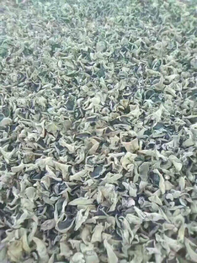 （正宗东北黑木耳）一级黑木耳干货，小碗耳秋木耳全国发货
