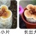 金边鲜灵芝灵芝花活体灵芝种苗