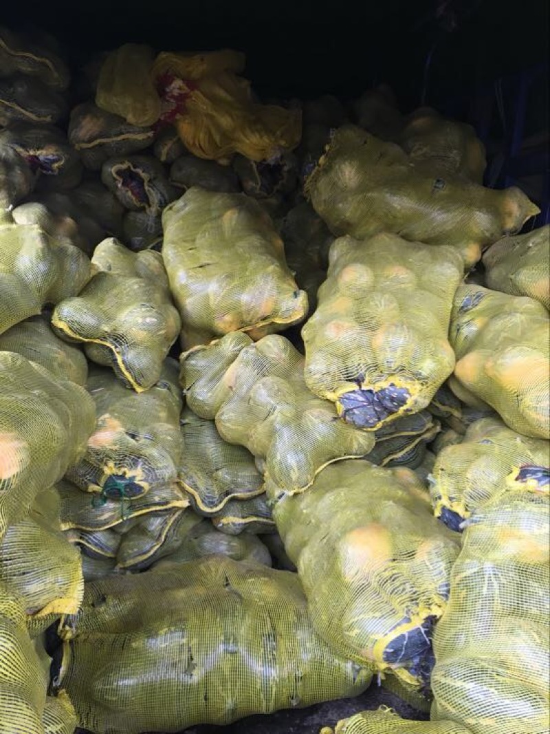 香芋南瓜1~2斤以上长条形
