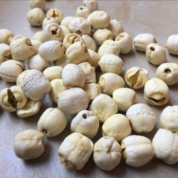 白莲子一级干莲子，厂家直销，一手货源，量大价优