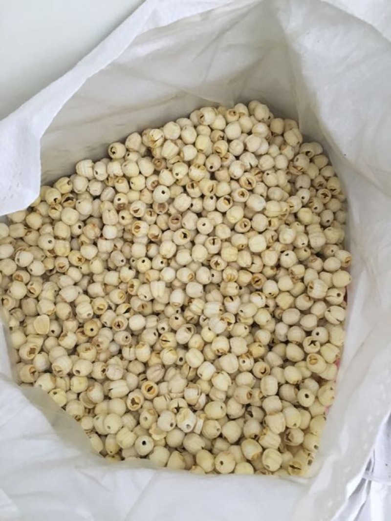 白莲子一级干莲子，厂家直销，一手货源，量大价优