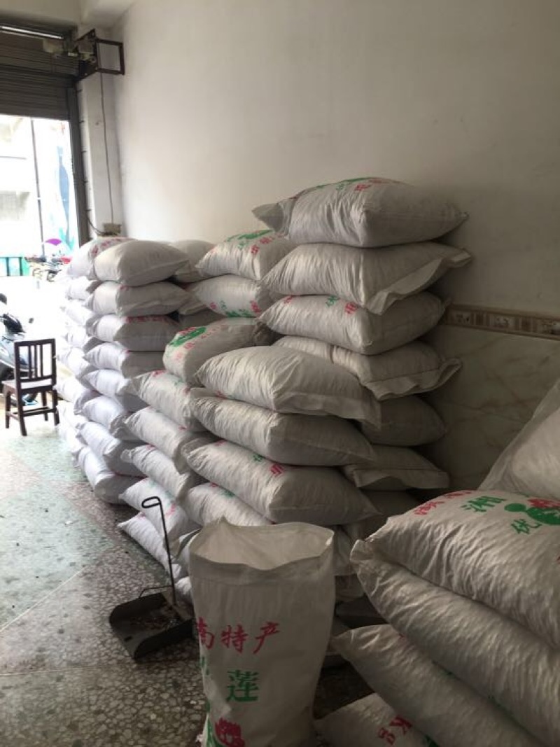 白莲子一级干莲子，厂家直销，一手货源，量大价优