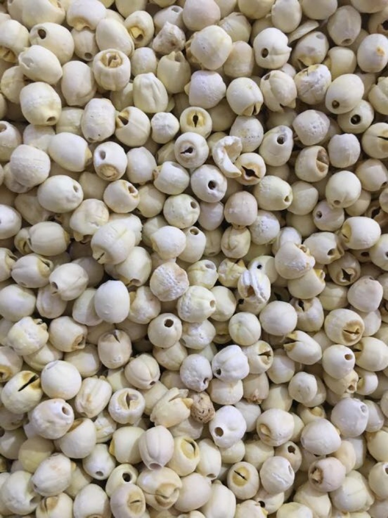 白莲子一级干莲子，颗粒爆满均匀，手工挑选，厂家直销