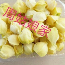 黄菇茑，