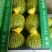 特小凤西瓜2斤打底8成熟1茬