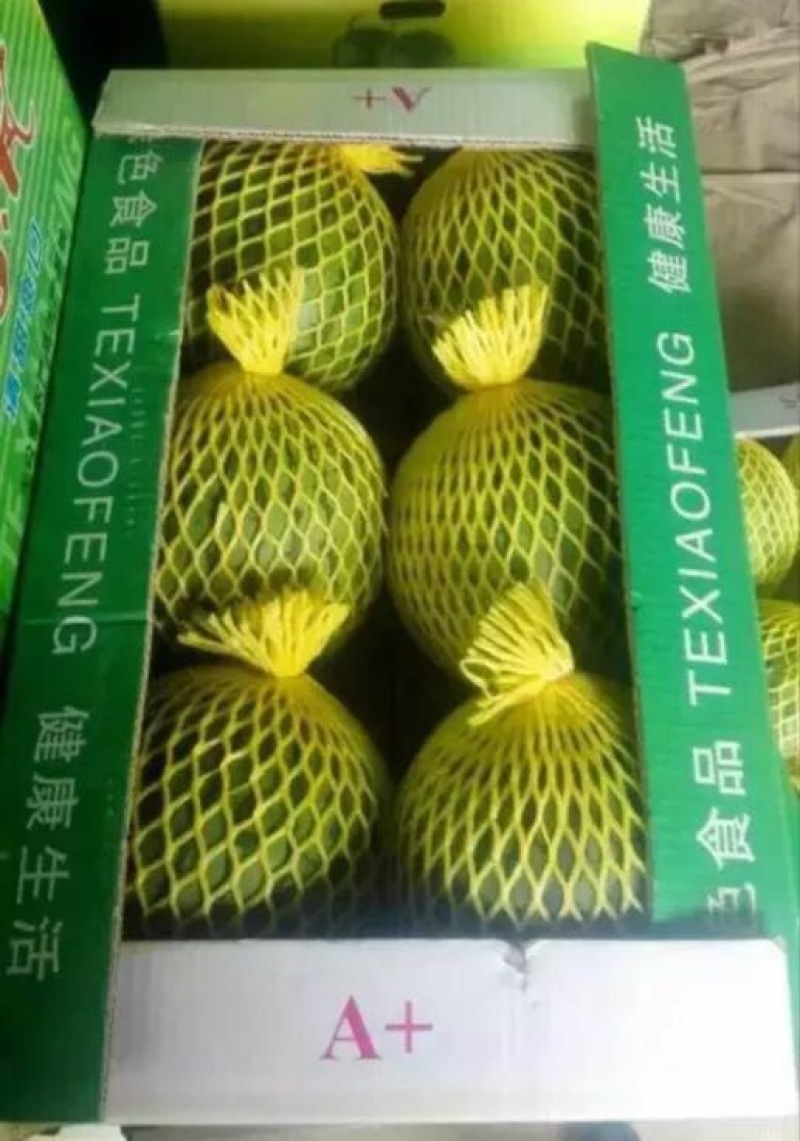 特小凤西瓜2斤打底8成熟1茬
