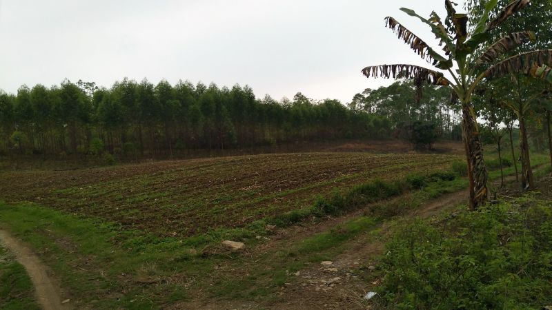梯田，农田