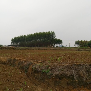 梯田，农田