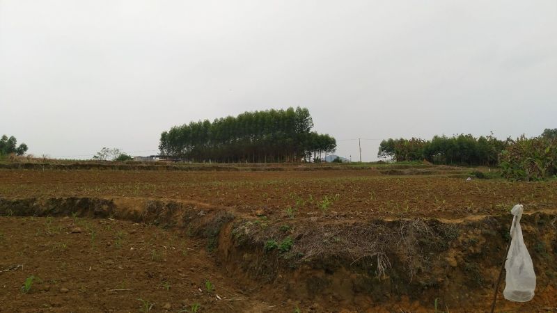 梯田，农田