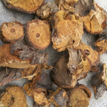 大量干虎杖，有需要的老板吗？