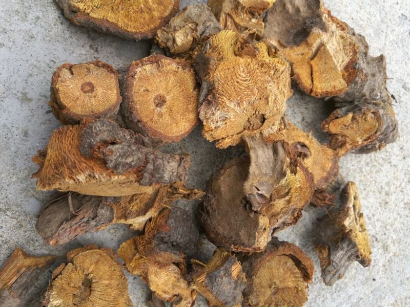 大量干虎杖，有需要的老板吗？
