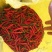 艳红朝天椒