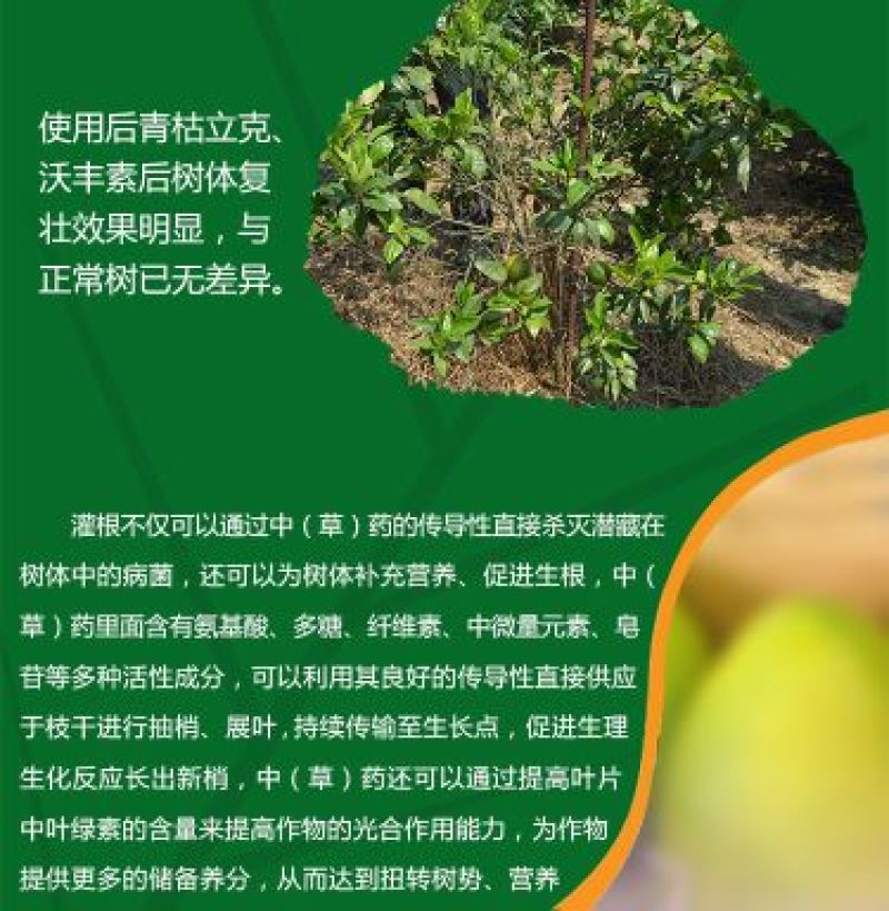 青枯立克水剂