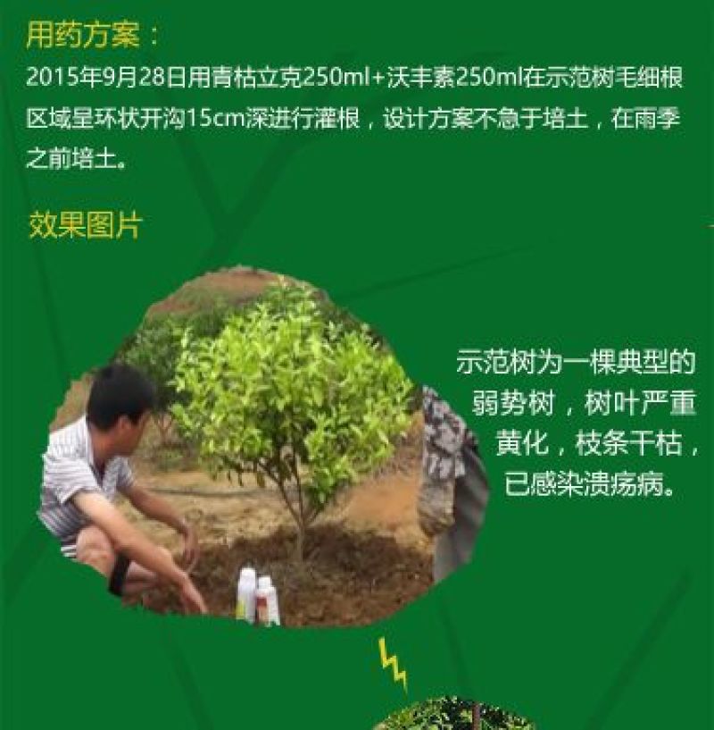 青枯立克水剂
