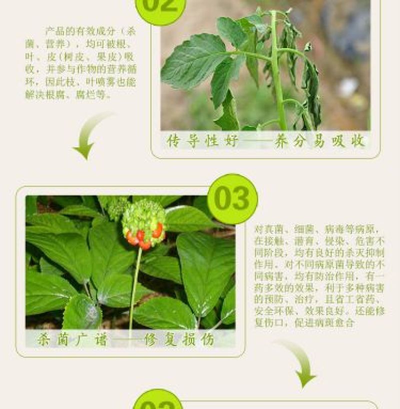 青枯立克水剂