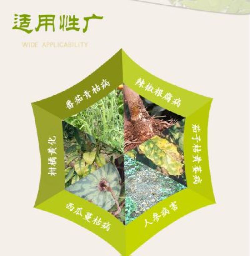 青枯立克水剂