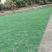 马尼拉草皮