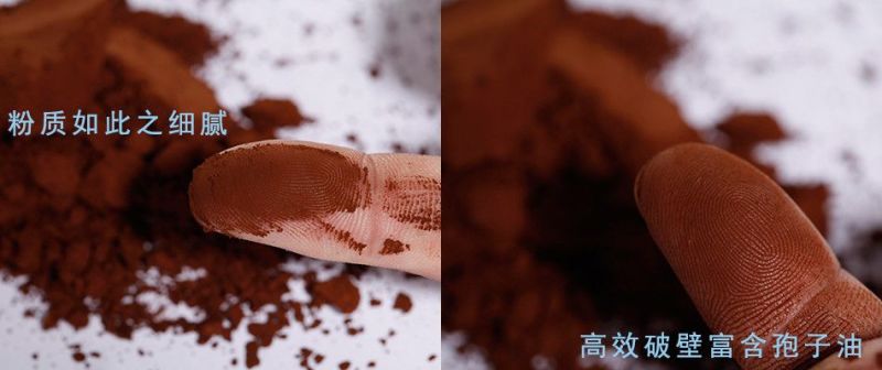 灵芝孢子粉山东灵芝孢子粉灵芝孢子粉原粉
