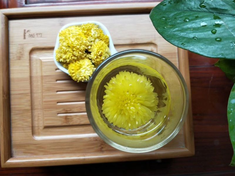 徽州皇菊婺源皇菊徽州贡菊金丝黄菊