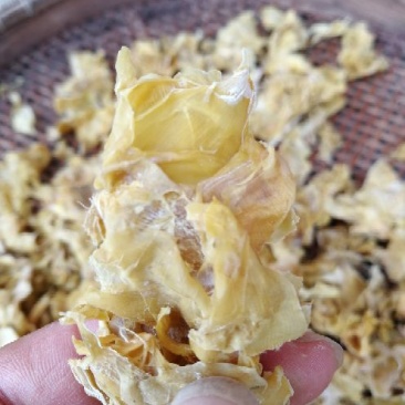 黄山笋衣笋干毛竹笋笋尖