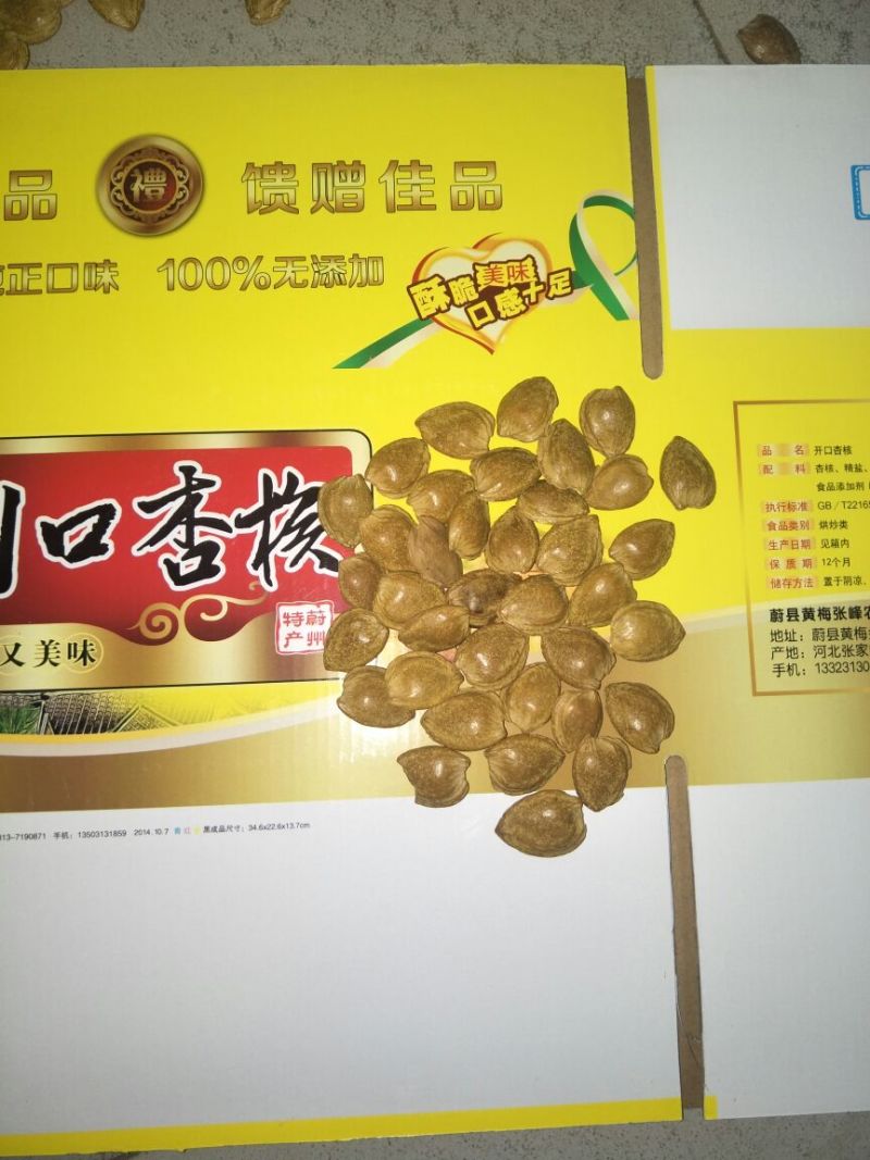 开口杏核，小龙66