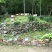 新源土蜂养土蜂养殖基地