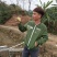 红宝石番石榴树苗
