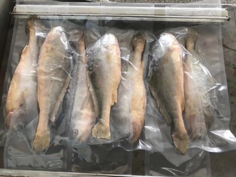 大黄鱼