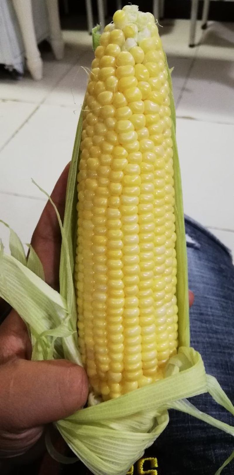 甜脆玉米