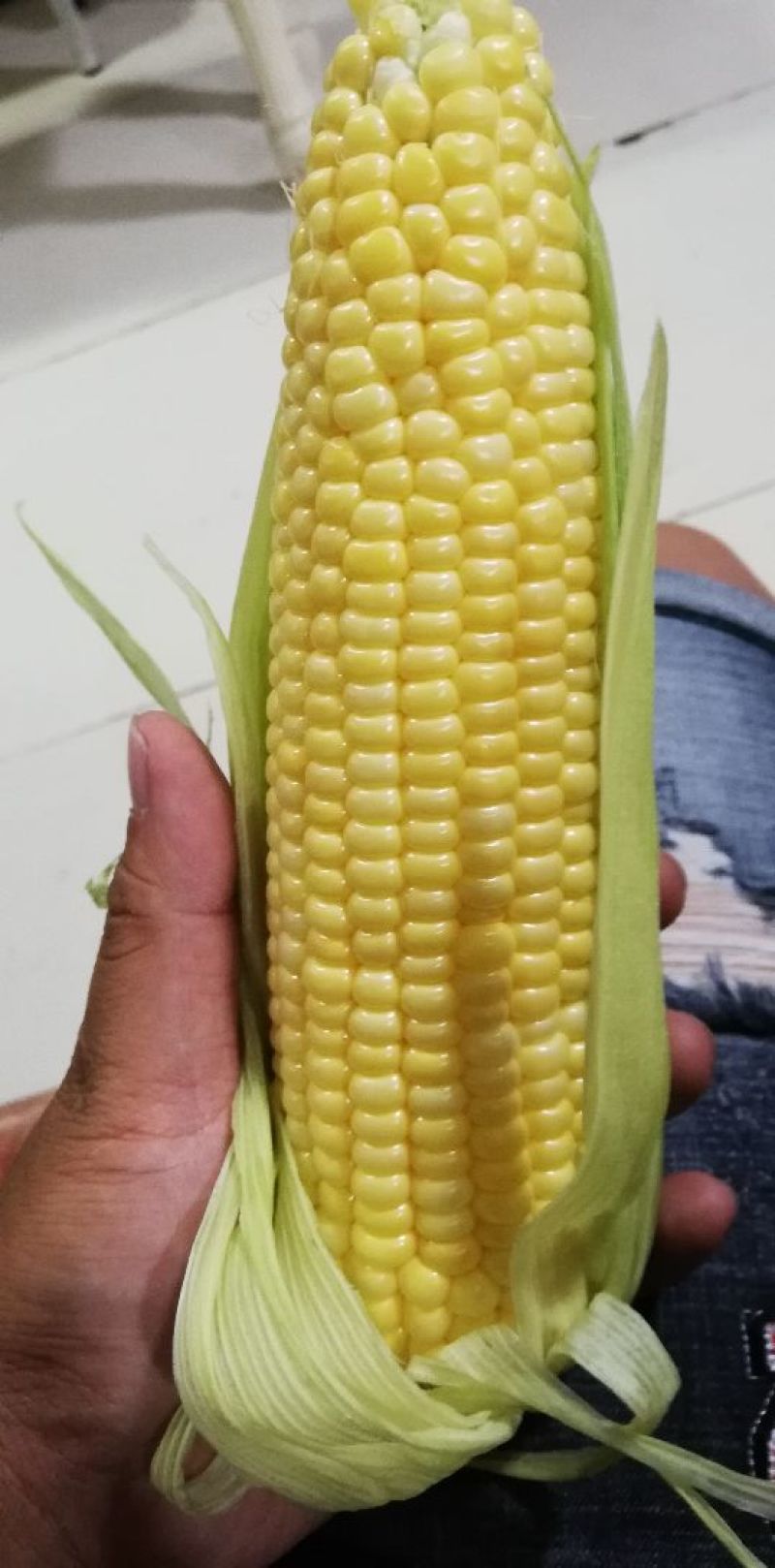 甜脆玉米
