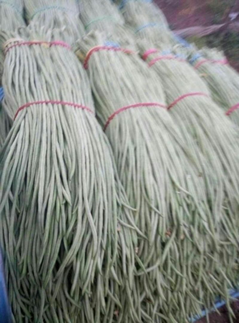 长豆角