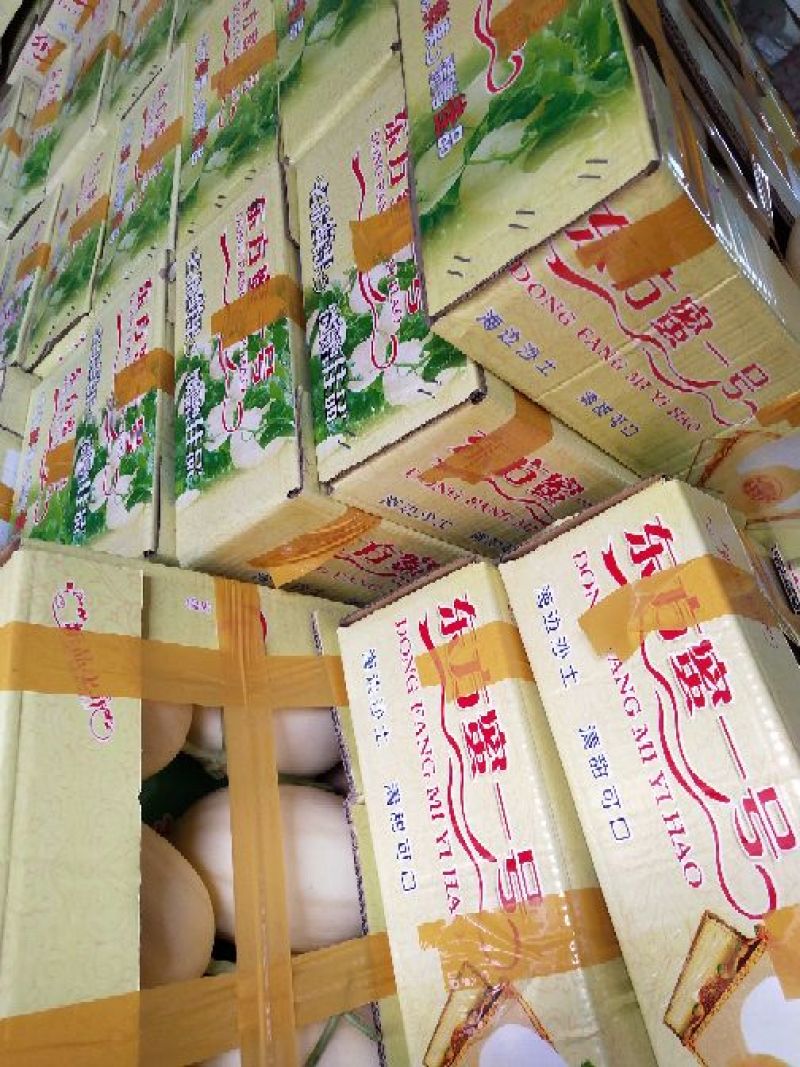 东方蜜1号甜瓜精品莘县雅诚农副产品购销服务处