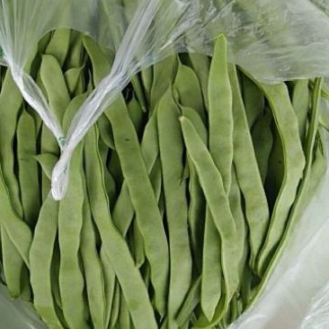 扁豆新鲜下市