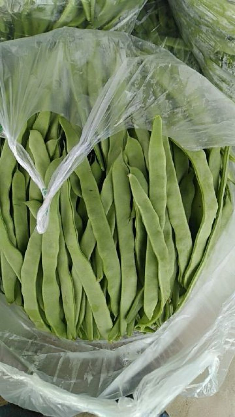 扁豆新鲜下市