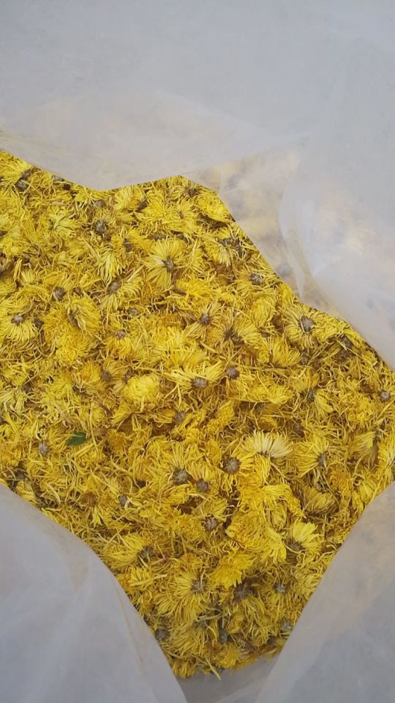 农家自种金丝皇菊