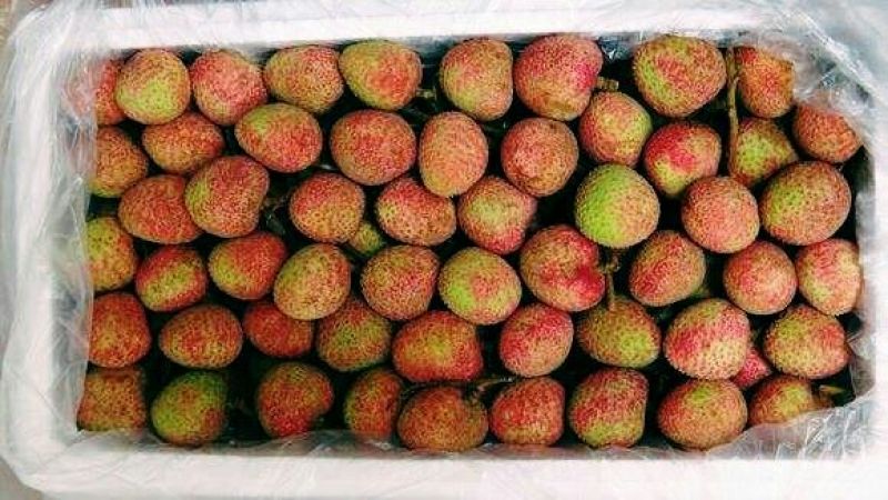 三月红荔枝非常靓货需要老板可以随时联系我