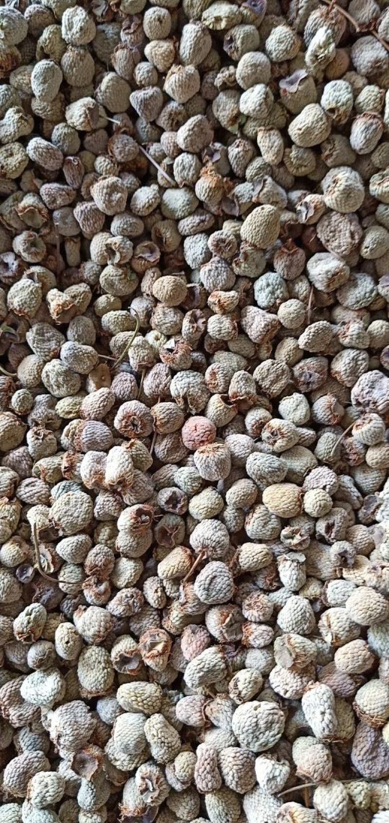 供应掌叶覆盆子干货(含量达标)中药材覆盆子