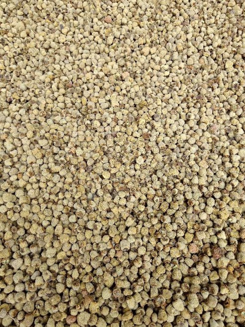 供应掌叶覆盆子干货(含量达标)中药材覆盆子